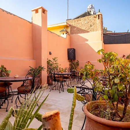 Riad La Gazelle Du Sud-3